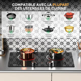 2 Burner Induction Hob