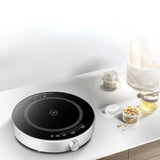 Portable Induction Hob