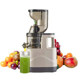 Horizontal Juice Extractor