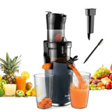 Electric Citrus Juicer